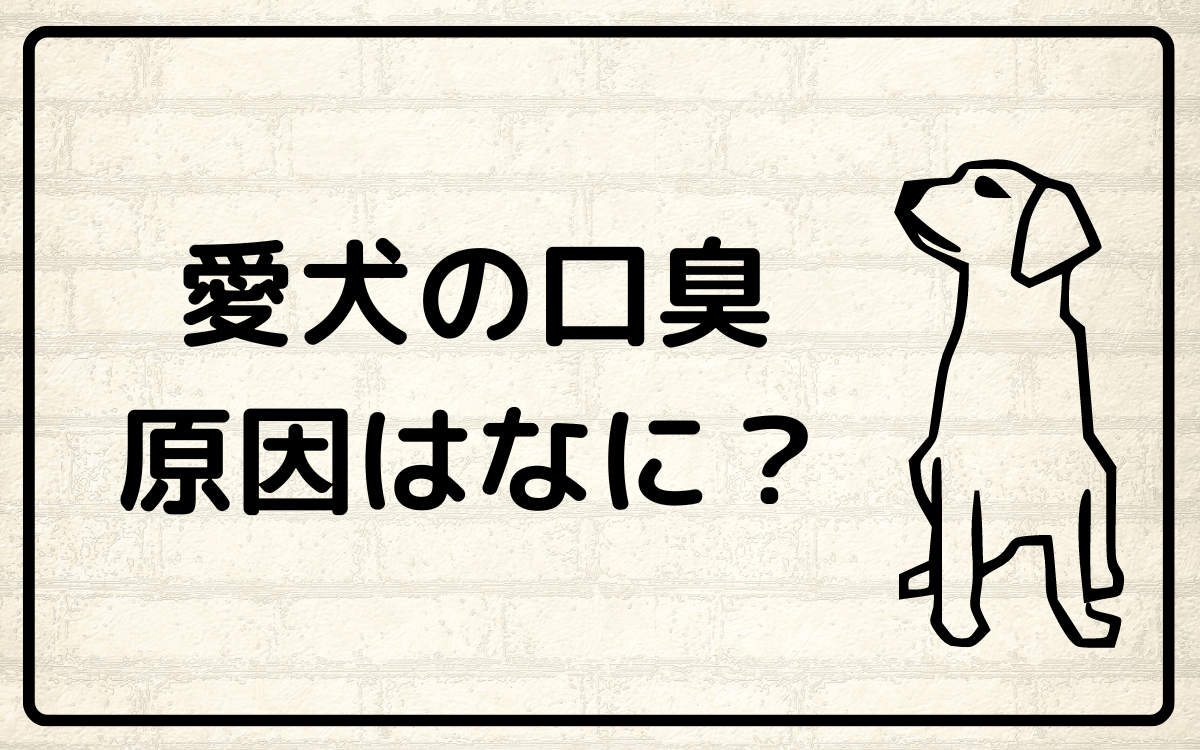 犬の口が臭い原因はなに？