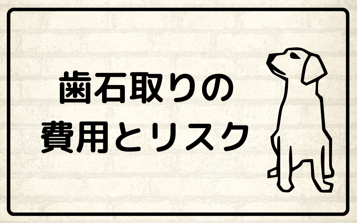 犬の口の臭いに歯石取りの費用とリスク