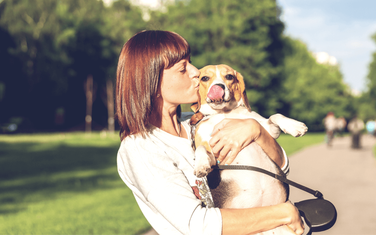 犬の口の臭いを対策していつまでも元気に